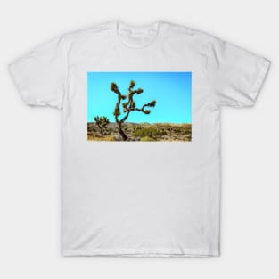 Joshua Tree National Park, California T-Shirt